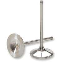 DEL WEST Intake Valve DWCRF450RIV02