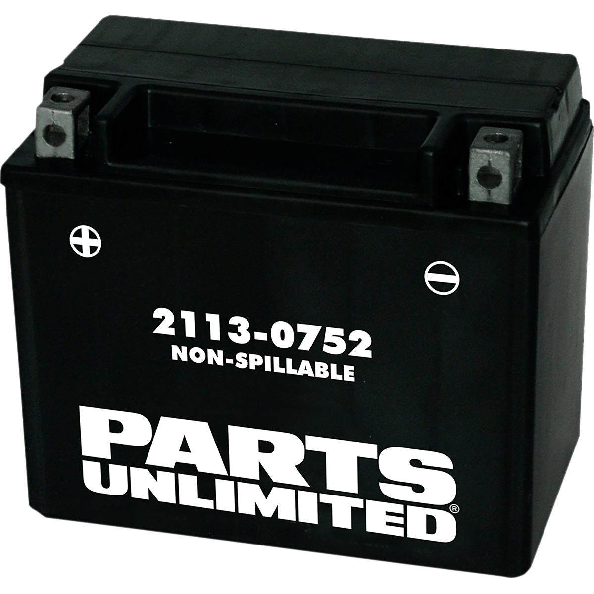 PARTS UNLIMITED AGM Battery YTX12