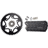 VORTEX Steel Chain Kit Black CK4260