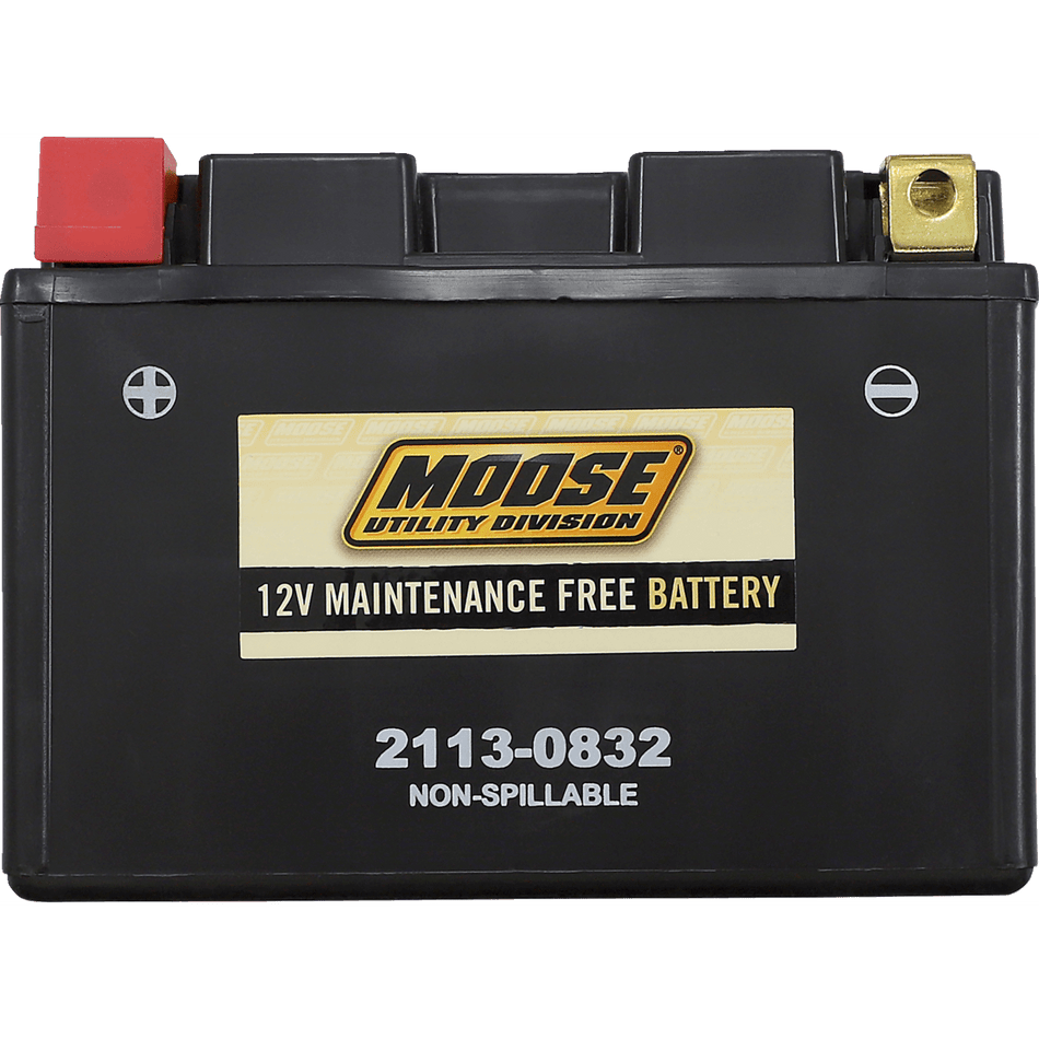 MOOSE UTILITY AGM Battery CTZ12S