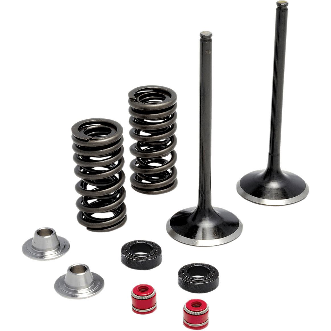 KIBBLEWHITE Spring Kit Stainless Steel 3032440