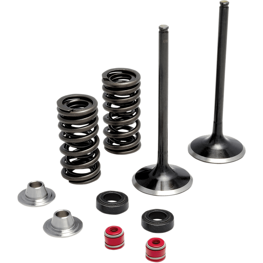 KIBBLEWHITE Spring Kit Stainless Steel 3032440