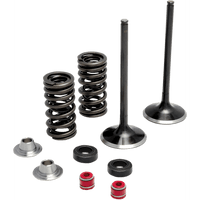 KIBBLEWHITE Spring Kit Stainless Steel 3032440