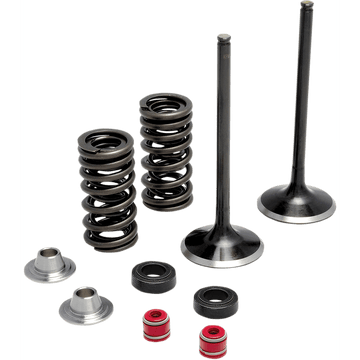 KIBBLEWHITE Spring Kit Stainless Steel 3032440