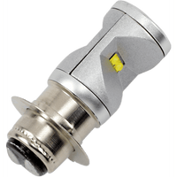 SHOW CHROME LED Replacement Bulb 6000K