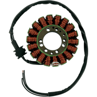 RICK'S MOTORSPORT ELECTRIC Stator Yamaha 21410