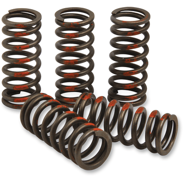 PRO CIRCUIT Clutch Springs 85 SX