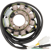 RICK'S MOTORSPORT ELECTRIC Stator Honda 21150