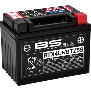 BS BATTERY Battery BTX4L/BTZ5S YTX