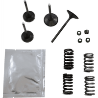 WISECO Valve Kit