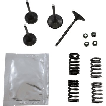 WISECO Valve Kit