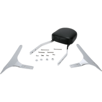 COBRA Sissy Bar Standard XVS 950 V-Star 025225