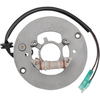 RICK'S MOTORSPORT ELECTRIC STATOR YAMAHA 21906