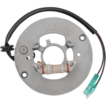 RICK'S MOTORSPORT ELECTRIC STATOR YAMAHA 21906