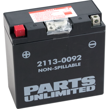 PARTS UNLIMITED AGM Battery YT14B4