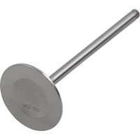 DEL WEST Intake Valve DWKX250FIV09