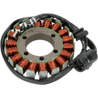 RICK'S MOTORSPORT ELECTRIC Stator Kawasaki 21221