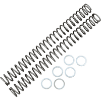 RACE TECH Fork Springs 0.48 kg/mm FRSP 444548