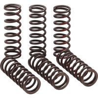 PRO CIRCUIT Clutch Springs CRF 450R CSH21450CS