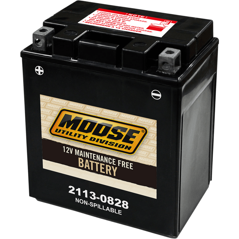 MOOSE UTILITY AGM Battery CTX14AH