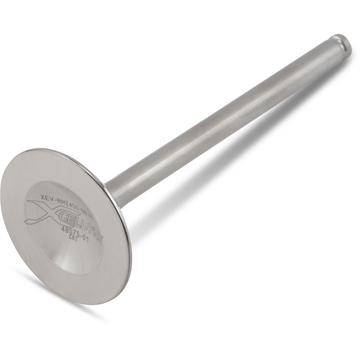 XCELDYNE Exhaust Valve XEVM33006