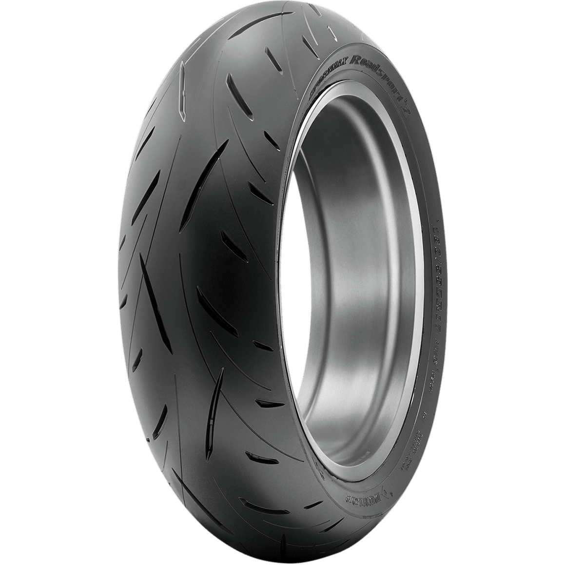 DUNLOP Tire Roadsport 2 Rear 160/60ZR17 69W 45238884