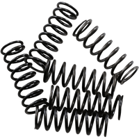 HINSON RACING Clutch Spring Kit