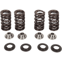 KIBBLEWHITE Valve Spring Kit 9696400