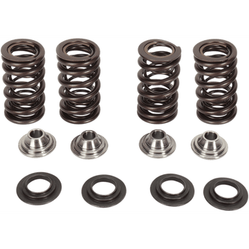 KIBBLEWHITE Valve Spring Kit 9696400