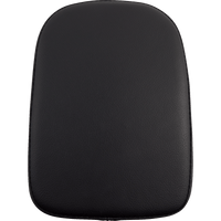 DANNY GRAY Detachable Pillion Pad Black Wide 501