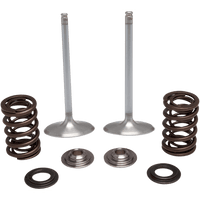 KIBBLEWHITE Intake Valve Kit