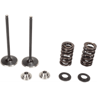 KIBBLEWHITE Valve Spring Kit