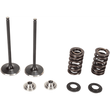 KIBBLEWHITE Valve Spring Kit