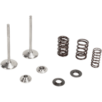 KIBBLEWHITE Intake Valve Kit 8080970