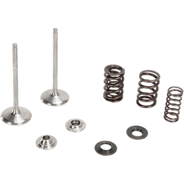 KIBBLEWHITE Intake Valve Kit 8080970