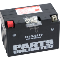 PARTS UNLIMITED AGM Battery YT12A-BS