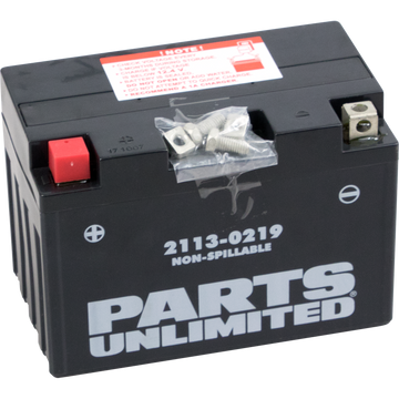 PARTS UNLIMITED AGM Battery YT12A-BS