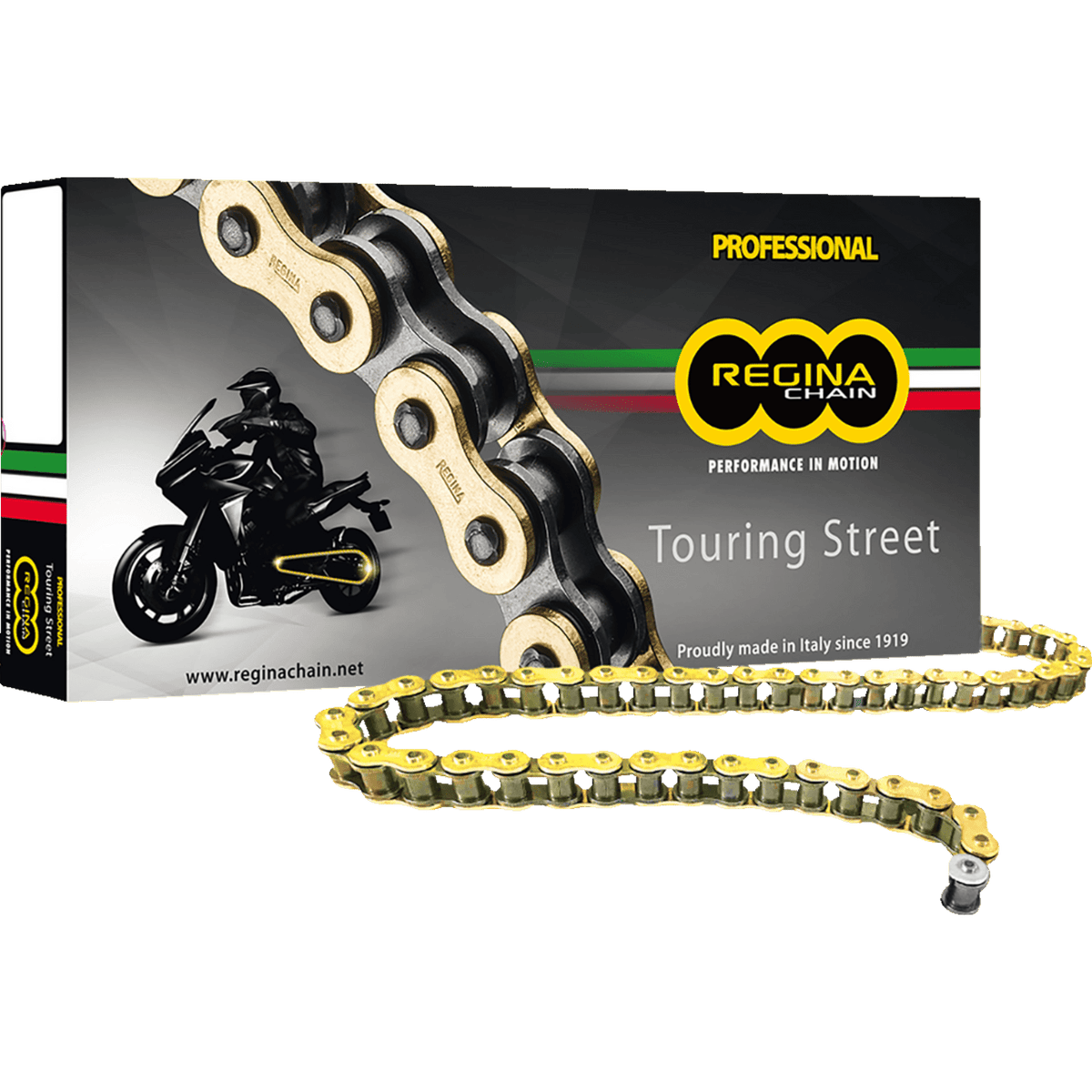 REGINA 530 RT Drive Chain 120 Links 136RT/1011