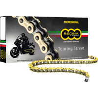 REGINA 530 RT Drive Chain 120 Links 136RT/1011