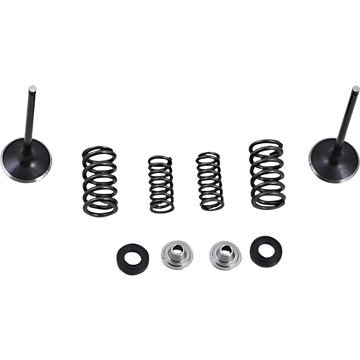 MOOSE RACING Intake Valve Kit