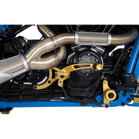 TRASK 2-into-1 Big Sexy Exhaust System Brushed Stainless Steel TM5110