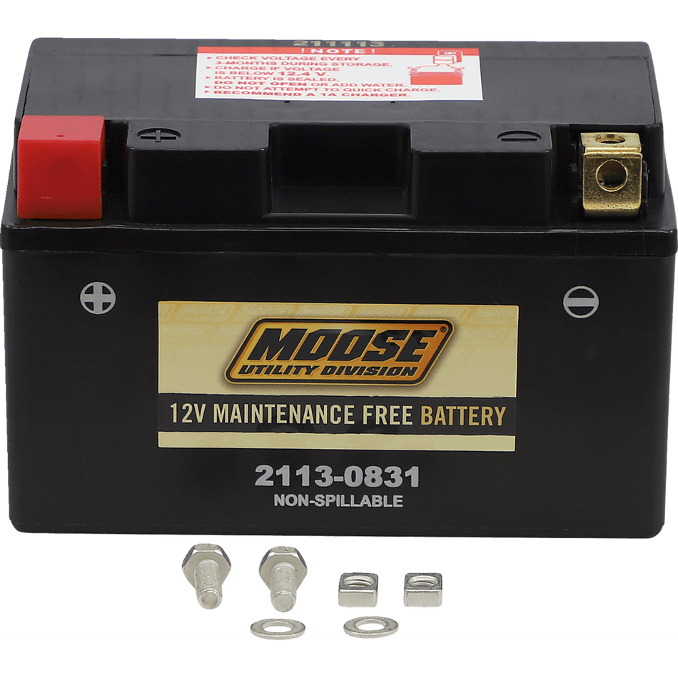 MOOSE UTILITY AGM Battery CTZ10S