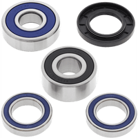 ALL BALLS Wheel Bearing Kit Rear