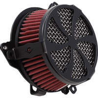 COBRA Air Cleaner Kit Black 606010301BSB