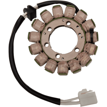 RICK'S MOTORSPORT ELECTRIC Stator Suzuki 21338