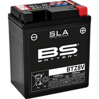 BS BATTERY Battery BTZ8V YT