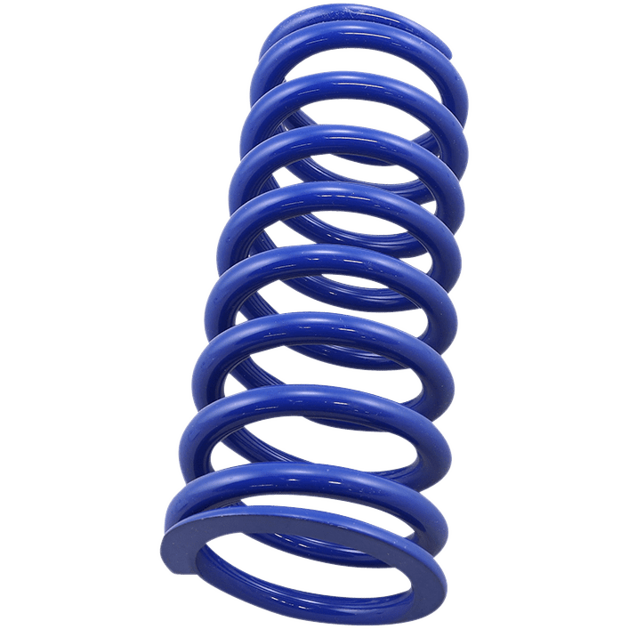 RACE TECH Rear Spring Blue Sport Series Spring Rate 300 lbs/in SRSP 672754