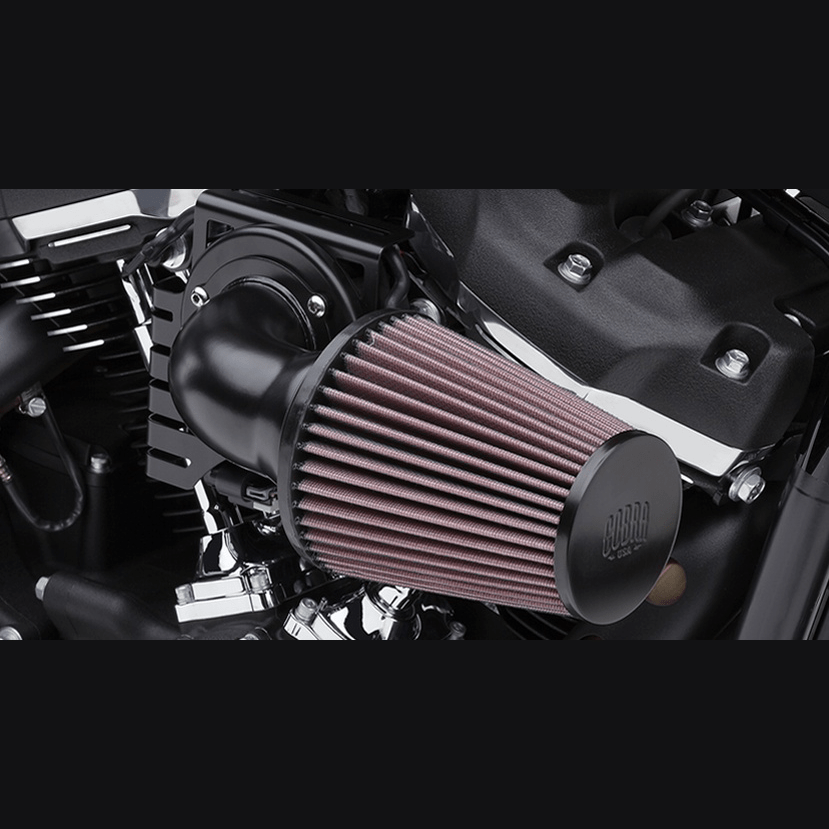 COBRA Cone Air Intake Black Softail 606010406BSB