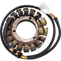 RICK'S MOTORSPORT ELECTRIC Stator Kawasaki 21727