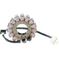 RICK'S MOTORSPORT ELECTRIC Stator Kawasaki 21232